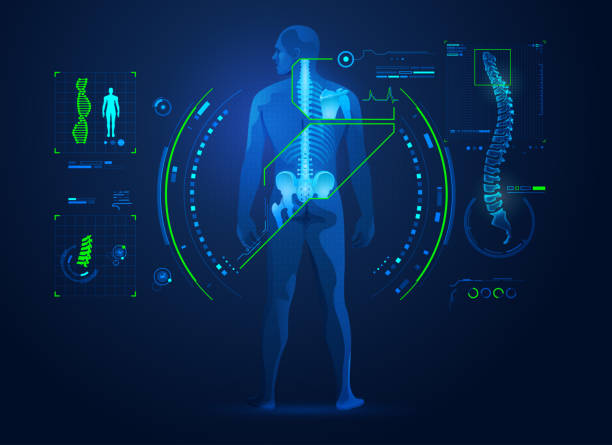 chiropractic concept of chiropractic technology or spine medical treatment, graphic of human back bone with x-ray interface spinal surgery recovery stock illustrations