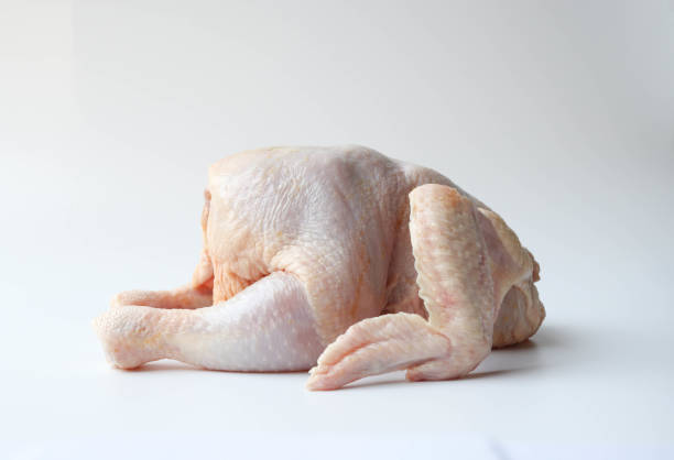 pollo crudo su sfondo bianco - preparation meat single object female foto e immagini stock