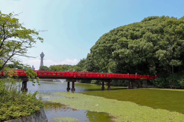 istock Tennoji Park with greenery in summer 1297154008