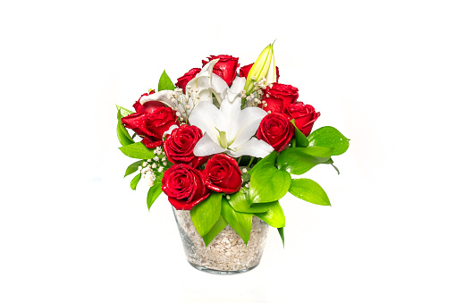 Three red rose stems on white background.