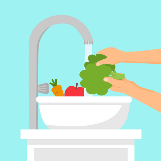 illustrazioni stock, clip art, cartoni animati e icone di tendenza di lavaggio di frutta e verdura prima di cucina concetto illustrazione vettoriale. casalinga che pulisce le verdure con molta acqua. - stereotypical housewife