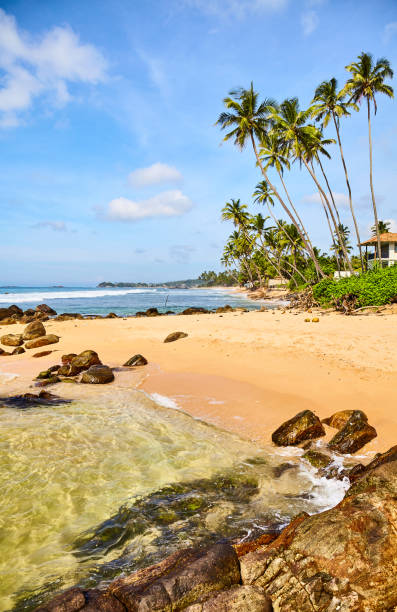 istock Tropical beach with coconut palm trees on a sunny summer day. 1297158590