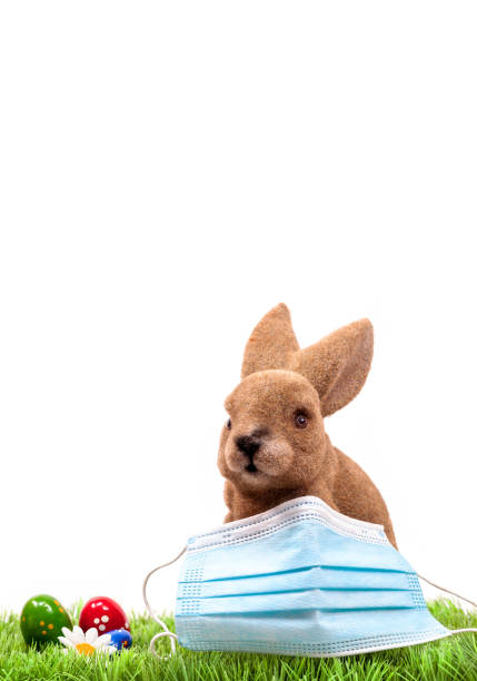 istock Easter bunny with surgical mask on green grass with easter eggs. Rabbit, Easter holiday 2021 during Covid-19 1297162331