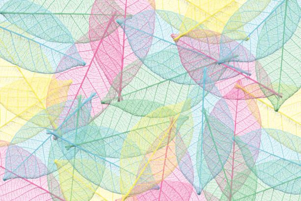 istock Natural leaf skeletons in pastel colors 1297164287