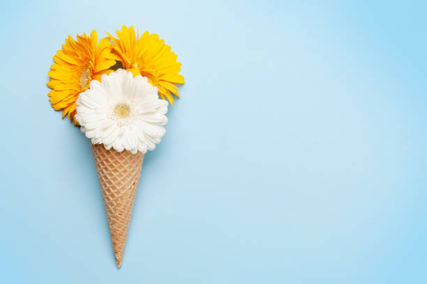 istock Colorful gerbera flowers in ice cream waffle cone 1297166391