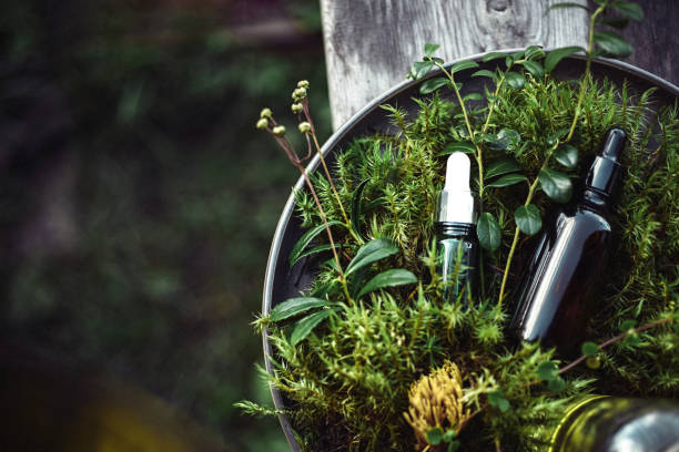 cosméticos naturais para beleza do rosto e corpo em fundo verde de plantas - tratamento botânico de spa - fotografias e filmes do acervo