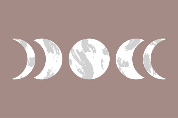 660+ Phases Moon Backgrounds Illustrations, Royalty-Free Vector ...