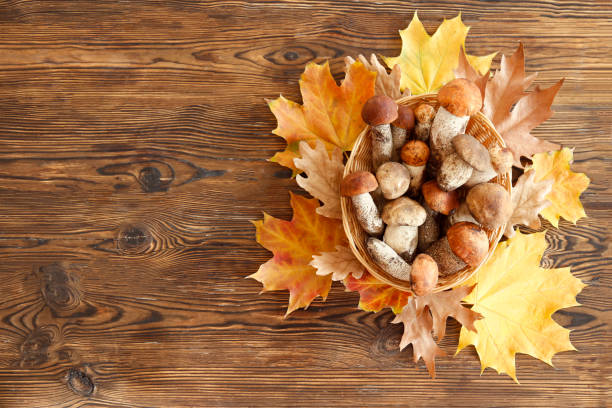 heap of mushrooms in the wicker bowl - mushroom stem cap plate imagens e fotografias de stock