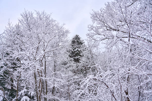 istock view of mountain with snow 1297168560