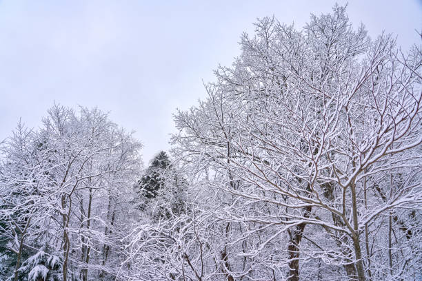 istock view of mountain with snow 1297168645