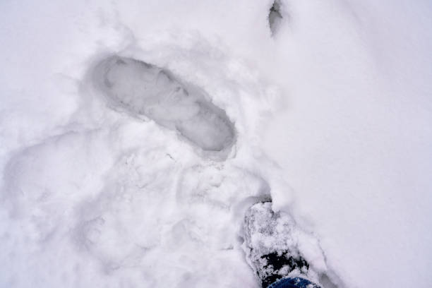 istock view of mountain with snow 1297169750