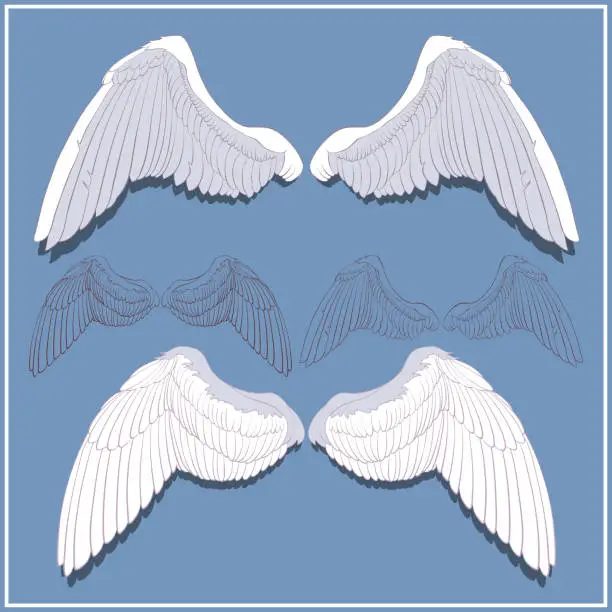 Vector illustration of Graphic wings. Front and rear side.