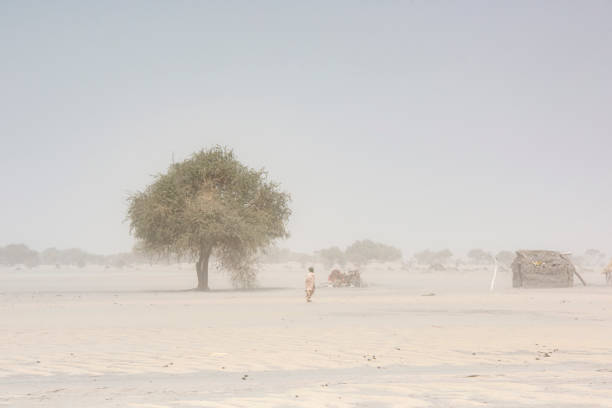 mujer fula en el asentamiento durante la tormenta de arena, región del sahel, chad - niger fotografías e imágenes de stock