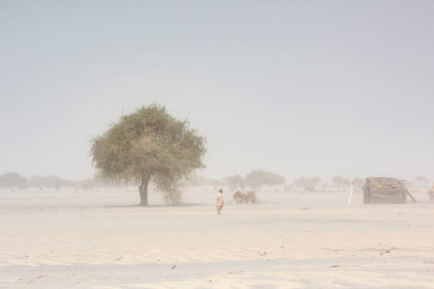 Fula woman in the settlement during sand storm, Sahel region, Chad Kanem, Chad - February 04, 2020:  A Fula woman in front of her samll hut in a very remote settlement during a sand storm. Typical landscape of the Sahel region. 

The Sahel is Africas transition zone between the Sahara desert in the north and the Savanna belt in the south. Sahel means in Arabic "coast" or "shore", literally it is also the "coast of the Sahara". The Sahel belt is hot and dry and on most of the days quite windy, it is definitely one of the hardest inhabited regions of our world. For hundreds of years, the Sahel region has experienced regular droughts and mega droughts which led several times to large scale famine.Kanem, Chad - February 04, 2020: A man of the Fula people is riding on his camel in the typical landscape of the Sahel region. Beside him there is a younger camel.

The Sahel is Africas transition zone between the Sahara desert in the north and the Savanna belt in the south. Sahel means in Arabic "coast" or "shore", literally it is also the "coast of the Sahara". The Sahel belt is hot and dry and on most of the days quite windy, it is definitely one of the hardest inhabited regions of our world. For hundreds of years, the Sahel region has experienced regular droughts and mega droughts which led several times to large scale famine. sahel stock pictures, royalty-free photos & images