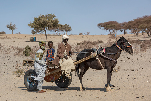 Kanem, Chad - February 04, 2020: A man of the Fula people with two of his sons on a horse cart in the typical landscape of the Sahel region. \n\nThe Sahel is Africas transition zone between the Sahara desert in the north and the Savanna belt in the south. Sahel means in Arabic \
