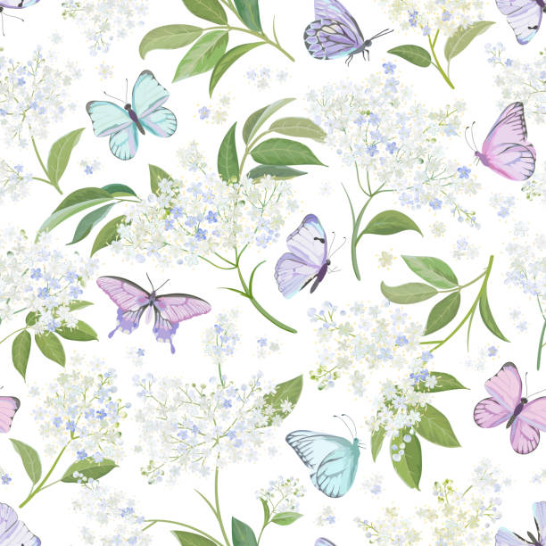 illustrations, cliparts, dessins animés et icônes de fond floral blanc sans couture d’aquarelle de sureau. vecteur de modèle de modèle de fleur de sureau et de papillons de ressort. illustration de conception de mariage de fleurs d’été - butterfly backgrounds seamless pattern