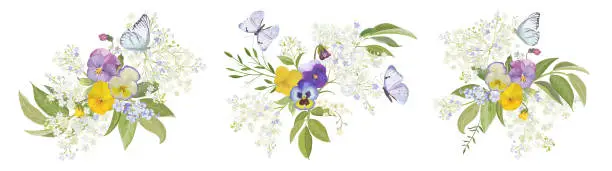 Vector illustration of Watercolor pansy flowers bouquet collection. Vector viola spring floral set, butterfly illustration. Summer bloom violet plant decoration design elements