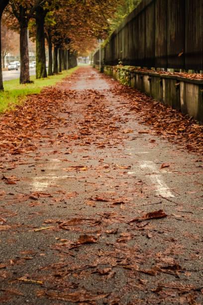 istock Street in autumn 1297173594