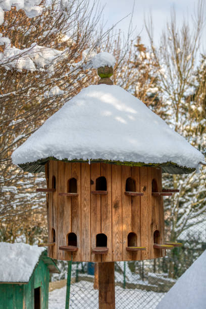 Wooden Dovecote with a roof cowered by snow Wooden Dovecote with a roof cowered by snow, a house for pigeons made of wood in the garden as a nest for birds. winter chicken coop stock pictures, royalty-free photos & images