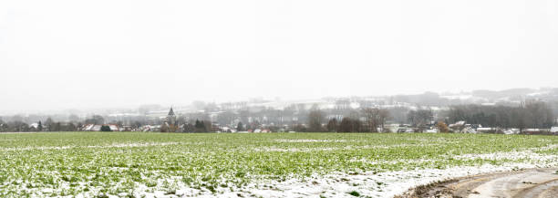 istock gray sky and snow on the field 1297175061