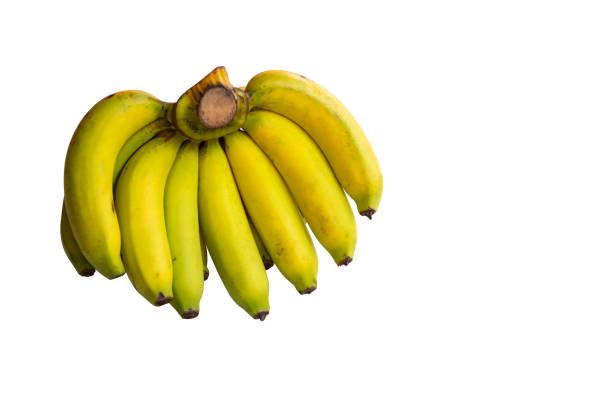 istock Ripe yellow bananas Isolated on white background 1297178777
