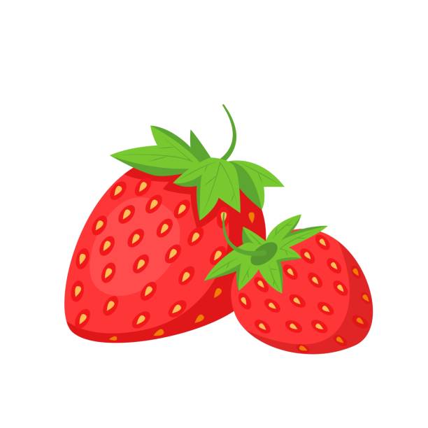 Strawberries Fruit Icon Vector strawberries. Fruit berry illustration for farm market menu. Healthy food design strawberry stock illustrations
