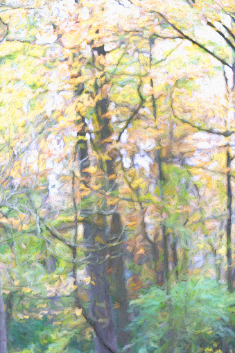 Footpath through a wood in autumn.  This image is heavily post processed to give a surreal painterly effect.