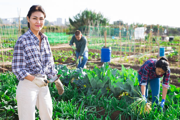 istock Positive female gardener posing in backyard garden 1297184890