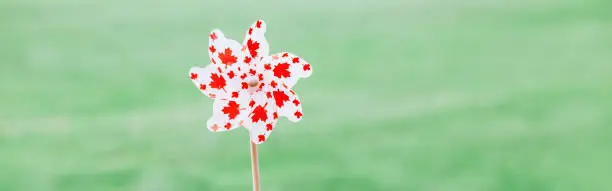 Photo of Windmill whizzer with red maple leaves on white background outdoors. Toy with Canadian flag symbol during Canada Day national celebration on July. Web banner header.