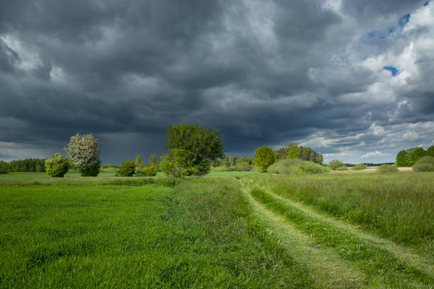 istock The road through a beautiful green meadow and cloudy sky 1297186981