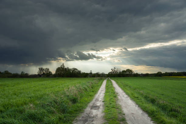 istock The road in the field and a dark rainy cloud 1297186983