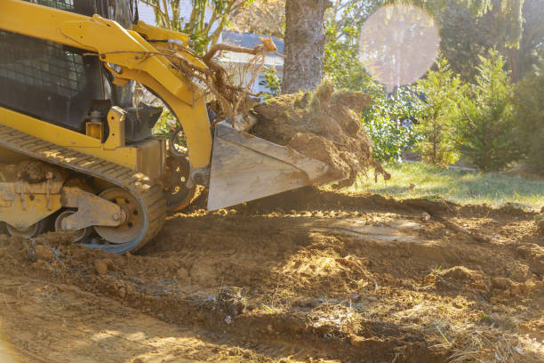la excavadora mueve el equipo de construcción del suelo cavando terreno - grading fotografías e imágenes de stock