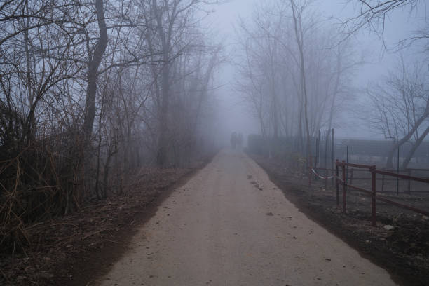 istock Park in winter with Fog 1297188458