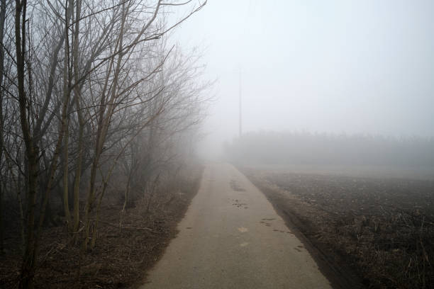 istock Park in winter with Fog 1297188762