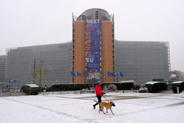 Heavy snowfall in Brussels, Belgium Exterior view of a snow-covered streets near to European Commission offices during a heavy snowfall in Brussels, Belgium on Jan. 16, 2021. ampelmännchen photos stock pictures, royalty-free photos & images