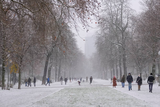 Heavy snowfall in Brussels, Belgium People meet the first snow of the year with a variety of activities in Brussels, Belgium on Jan. 16, 2021. ampelmännchen photos stock pictures, royalty-free photos & images