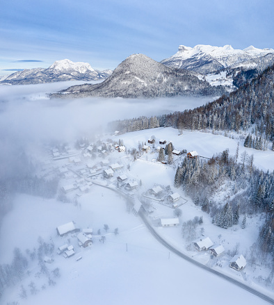 Winter landscape with spouse trees of snow covered forest in cold mountains in the evening