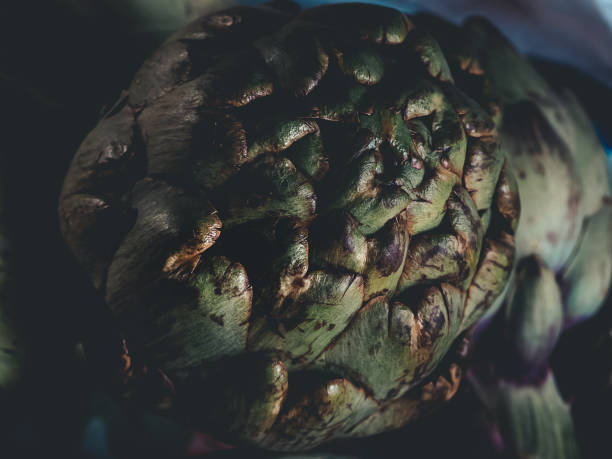 CLOSE-UP VIEW OF A RAW ARTICHOKE PREPARED FOR COOKING