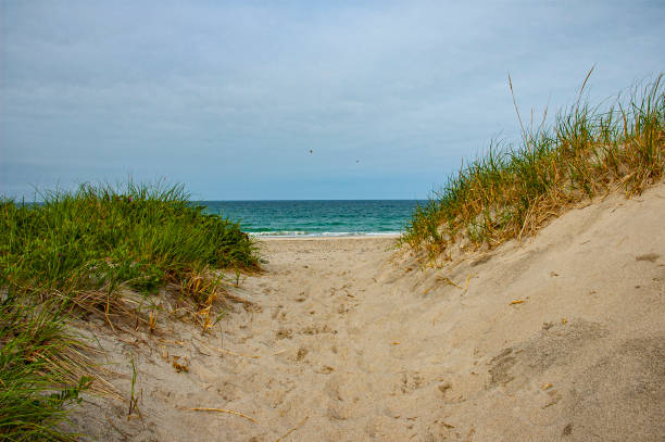 istock Sand Dunes marsh grass green ocean and blue sky 1297191256