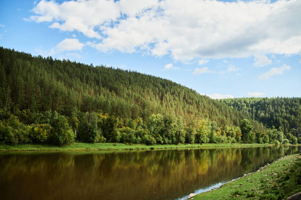 istock Blue water in a forest lake with pine trees. 1297192624