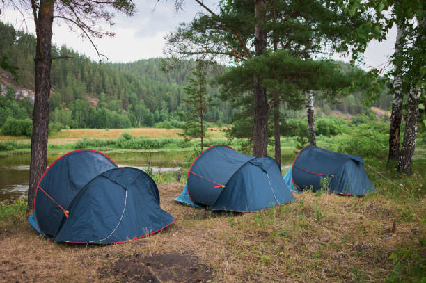 istock Tourist tent in forest camp among meadow. 1297192650
