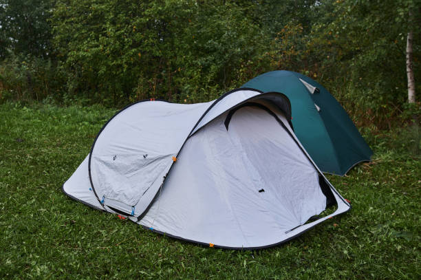 istock Tourist tent in forest camp among meadow. 1297192663