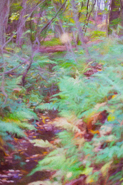 istock Stream through a wood in autumn 1297193440