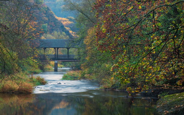 istock Ahrvalley in autumn 1297195760