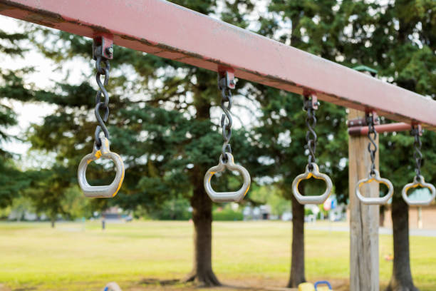istock Playground in the park. Metal monkey bars on chains. 1297196758