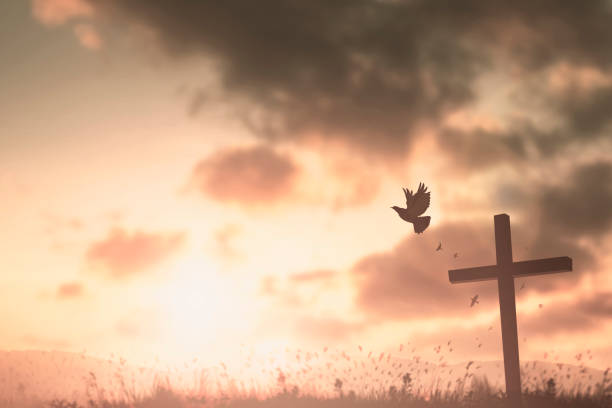 homem feliz levante a mão na vista da manhã. christian inspira louvor a deus no fundo da sexta-feira santa. agora um homem autoconfiança no pico de braços abertos desfrutando da natureza o conceito sol mundo sabedoria diversão esperança - cross sunset sky spirituality - fotografias e filmes do acervo