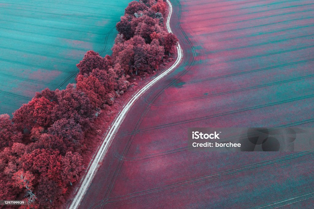 Colorful Fields Idyllic country road through the wheat field in spring (Infrared Aerochrome Look). Aerial View Stock Photo