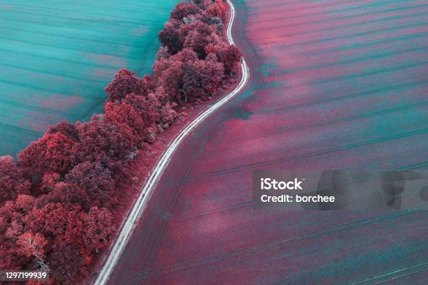 Colorful Fields Stock Photo - Download Image Now - Aerial View, Landscape - Scenery, Abstract