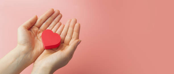 Heart in the hands of a female on a colored banner background. Donation, charity, health treatment, help concept. Background for Valentine's Day (February 14) and love. Heart in the hands of a female on a colored banner background. Donation, charity, health treatment, help concept. Background for Valentine's Day (February 14) and love. alms stock pictures, royalty-free photos & images