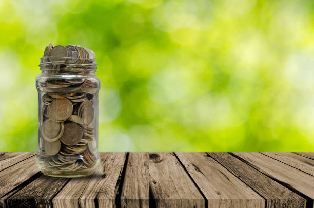 istock Coin savings plans are growing. 1297200678